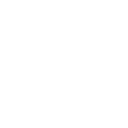 Mccain White logo