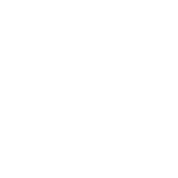 Dominos white logo