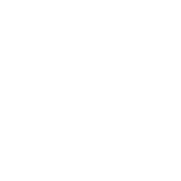 Dunnes Stores Logo