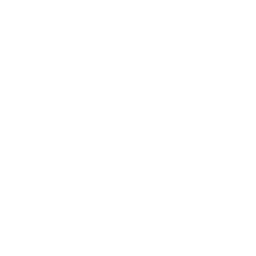 nhs-logo-white-256:256